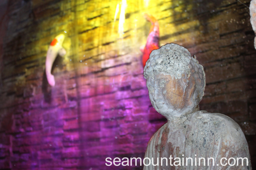 Sea Mountain Nude Lifestyles Spa Resort 760-251-4744